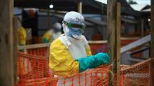 WHO tuyên bố dịch Ebola là 'trường hợp y tế khẩn cấp toàn cầu'